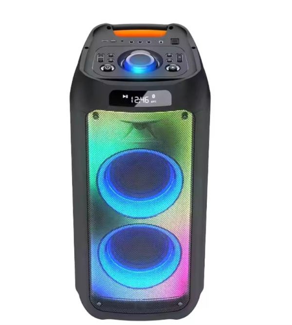 LY-1031 dual 10″ portable party speaker