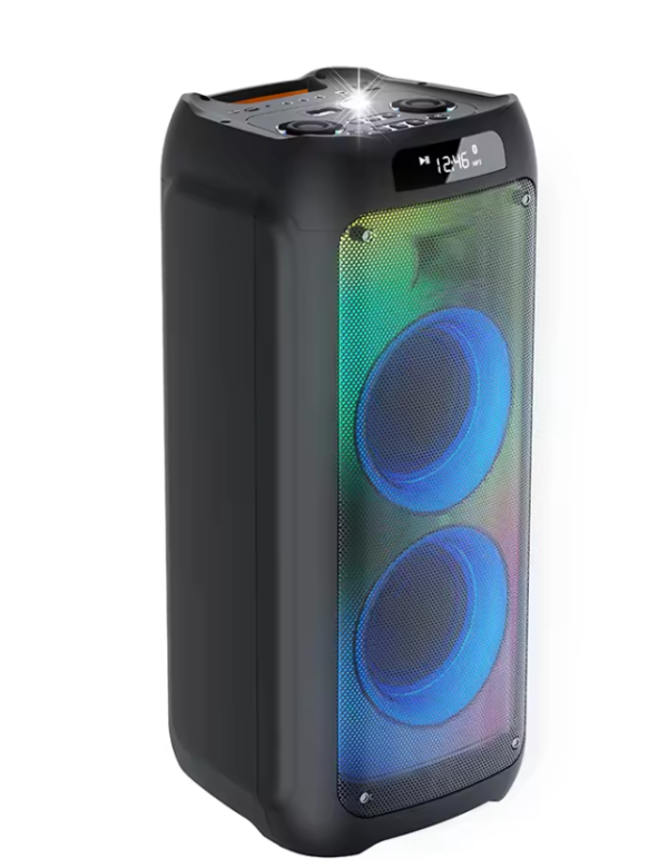 LY-1032 dual 10″ portable party speaker